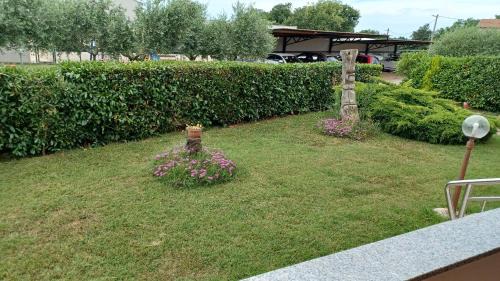 Babici House | Apartments Villa Adamović