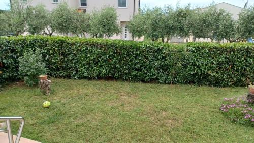 Babici House | Apartments Villa Adamović