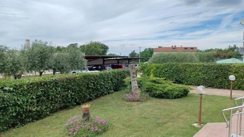 Babici House | Apartments Villa Adamović
