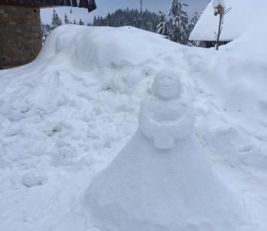 Jahorina Apartment | Apartments Villa Deja