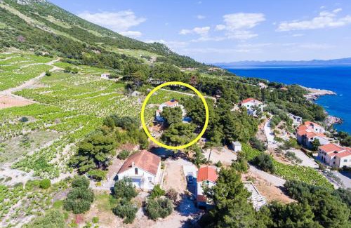 Orebic Apartment | Apartments Villa Dingač