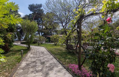 Brela Apartment | Apartments Villa Mili