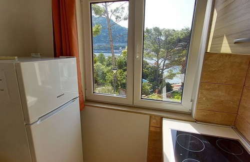 Sobra Apartment | Apartments Vinko Mljet- One-Bedroom Apartment with Terrace