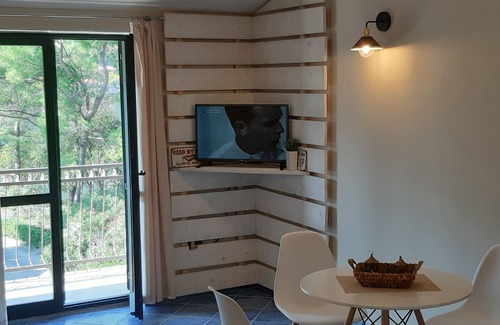 Kotor Apartment | Apartments Vojvoda