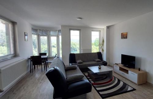 Mali Radic Apartment | Apartments Window