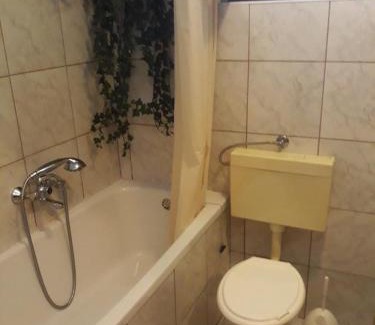 Mirce Apartment | Apartments with a parking space Mirca, Brac - 15683