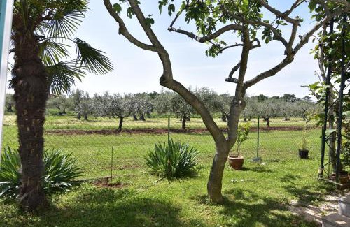Krizine Apartment | Apartments with a parking space Sveti Ivan, Umag - 22472