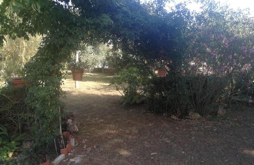 Valica Apartment | Apartments with a parking space Sosi, Umag - 16184