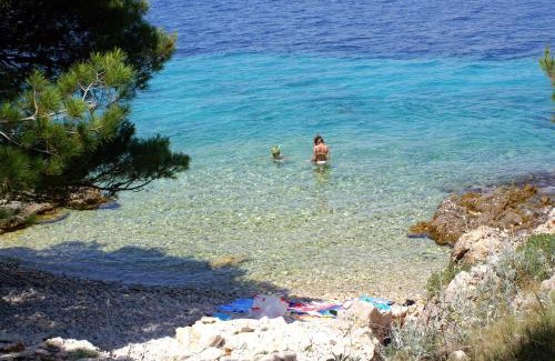 Primosten Burnji Apartment | Apartments with parking space Bilo, Primosten - 12870