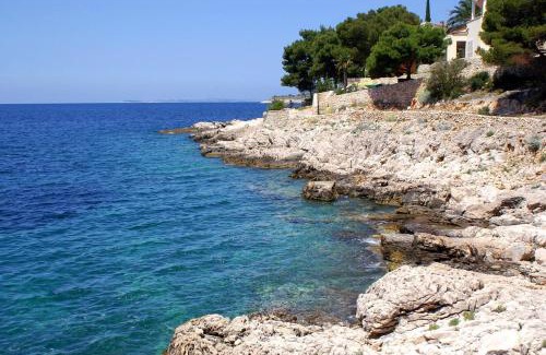 Primosten Burnji Apartment | Apartments with parking space Bilo, Primosten - 12870