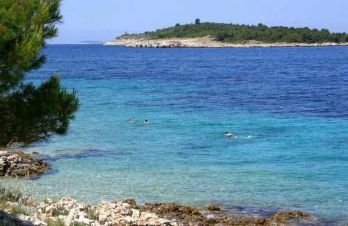 Primosten Burnji Apartment | Apartments with parking space Bilo, Primosten - 12870