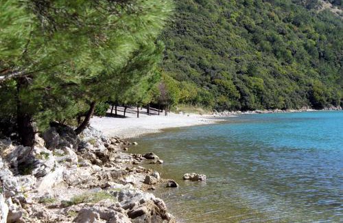Gracisce Apartment | Apartments with parking space Gracisce, Central Istria - Sredisnja Istra - 7134