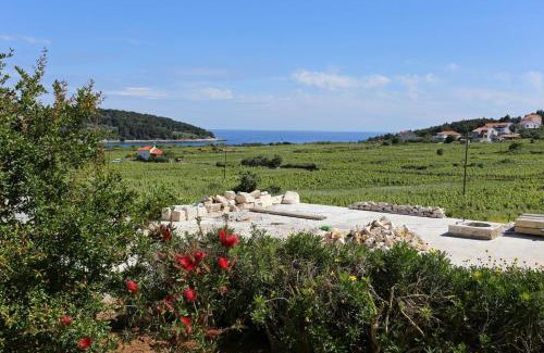 Vela Glavica Apartment | Apartments with parking space Lumbarda, Korcula - 4429