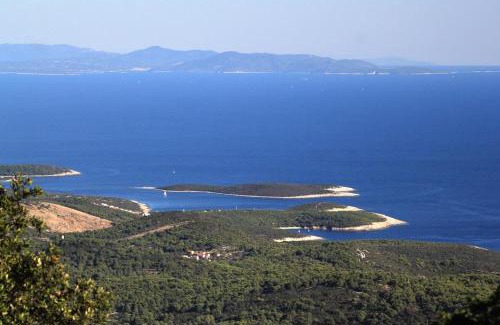 Rukavac Apartment | Apartments with parking space Rukavac, Vis - 8839