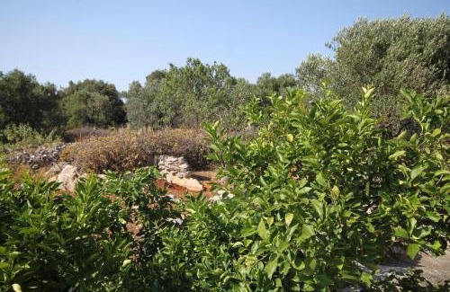 Bozava Apartment | Apartments with parking space Bozava, Dugi otok - 8124