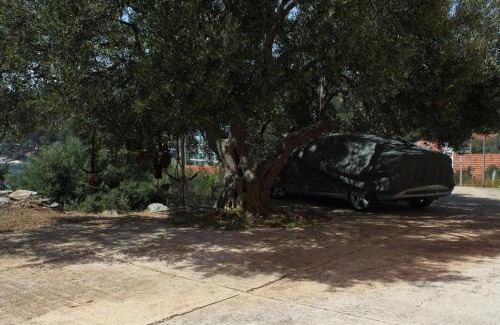 Bozava Apartment | Apartments with parking space Bozava, Dugi otok - 8124