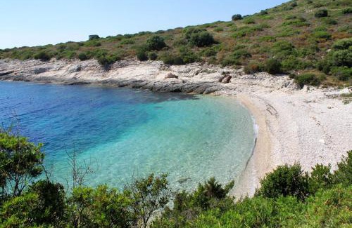 Brbinj Apartment | Apartments with parking space Brbinj, Dugi otok - 8160
