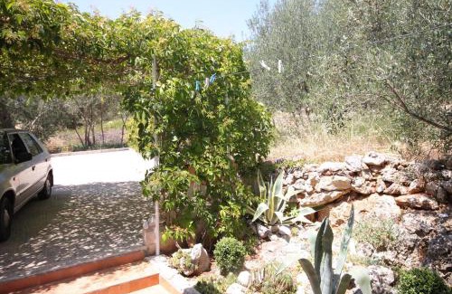 Brbinj Apartment | Apartments with parking space Brbinj, Dugi otok - 8160