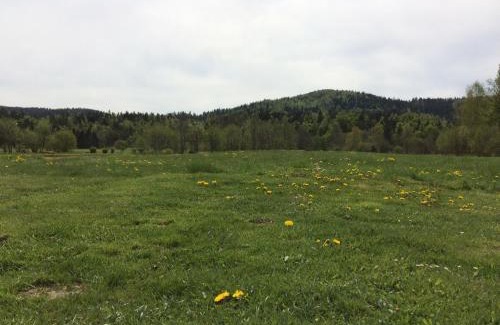 Lokve Apartment | Apartments with parking space Lokve, Gorski kotar - 20236