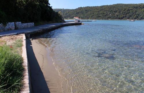 Kampor Apartment | Apartments with parking space Kampor, Rab - 5032