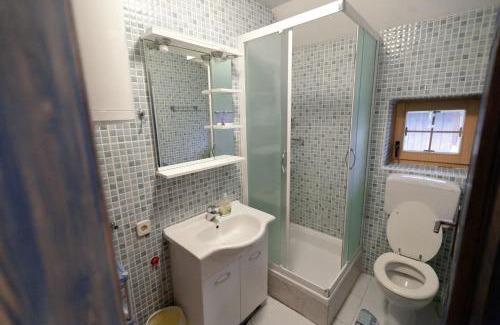 Jasenak Apartment | Apartments with swimming pool Jasenak, Karlovac - 20718