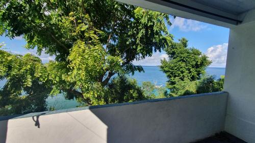 Bahia Suroeste Apartment | APARTO-STUDIO JUNTO AL MAR Blue Lizard Studio