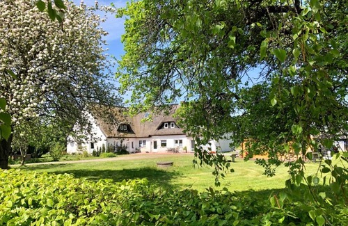 Trent Apartment | App. 2 - Ferienhof Kwijas