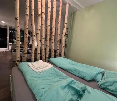 Hohegeiß Apartment | App 624 Panoramic Hohegeiß Terrassenhaus