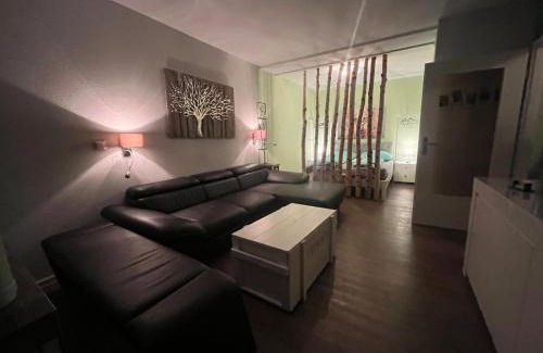 Hohegeiß Apartment | App 624 Panoramic Hohegeiß Terrassenhaus