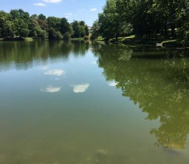 Monflanquin Apartment | Appart 1chb 4 pers 62 Résidence Vacances du Lac
