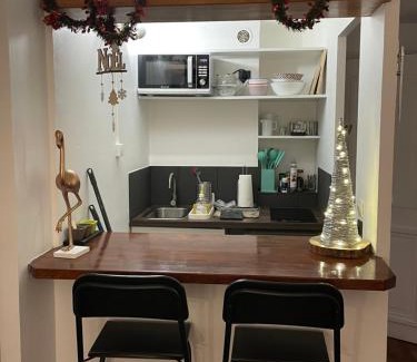Fontainebleau Apartment | Appart Boisdhyver Central au calme parking gratuit