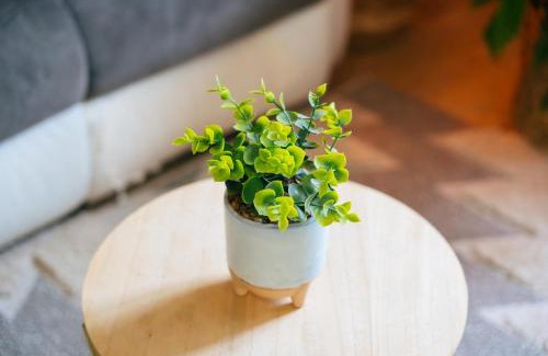 Baguer-Pican Apartment | Appart Du Bonheur chez l'habitant