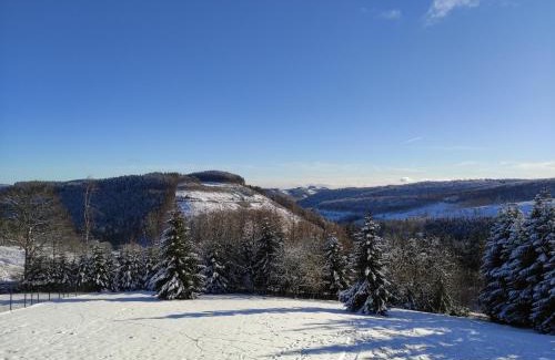 Winterberg Apartment | Appart-Hotel Harmonie