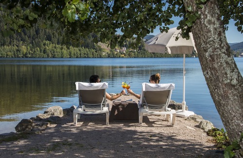 Gerardmer Apartment | Appart'hotel Lido