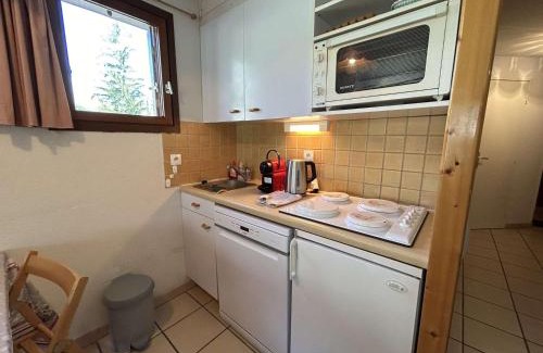 Monetier-les-Bains Apartment | Appart lumineux 4 pers avec parking, wifi – Le Monêtier les Bains - FR-1-330F-239