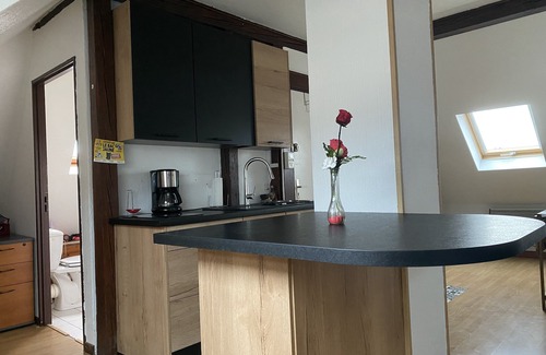 Mulhouse Apartment | Appart T2 car museum, garage, fitted kitchen, bright, quiet.
