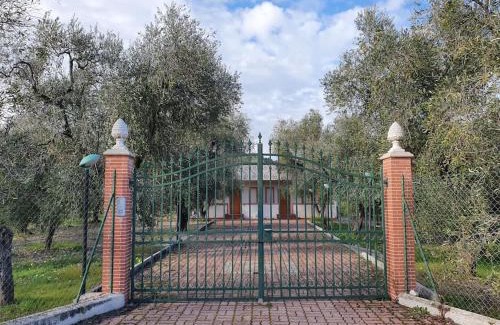 Montincello Apartment | Appartamenti Anna Maria