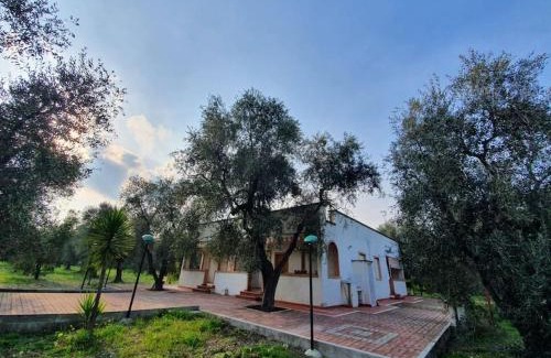 Montincello Apartment | Appartamenti Anna Maria