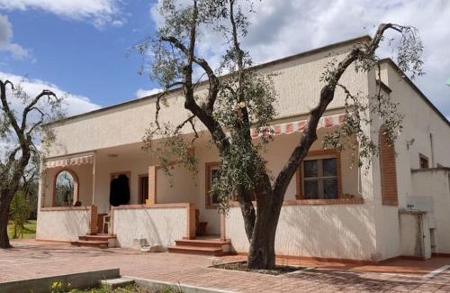 Montincello Apartment | Appartamenti Anna Maria