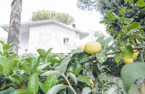 Milano Marittima Apartment | Appartamenti Federica 12T