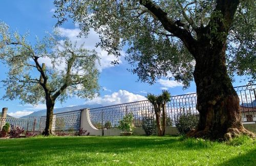 Arco Apartment | Appartamenti Villa Sonia