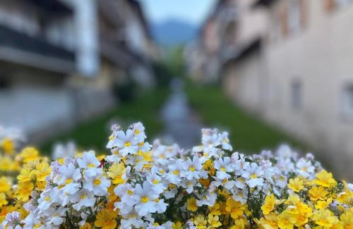 Levico Terme Apartment | Appartamento Al Vicolo