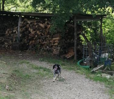 Figline e Incisa Valdarno Apartment | Appartamento Bellosguardo
