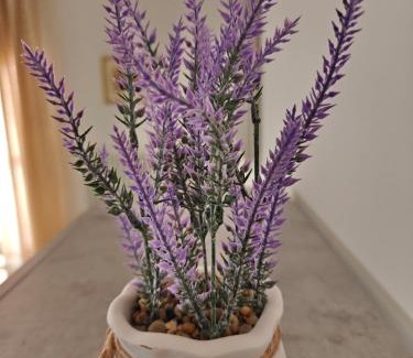 Imola Apartment | Appartamento donatello
