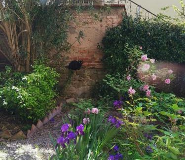 Camucia Apartment | Appartamento Il Giardinetto