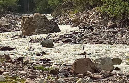 Canal San Bovo Apartment | appartamento immerso nel verde delle dolomiti