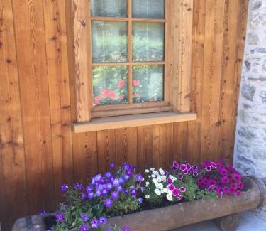 Morgex Apartment | Appartamento Montagnards