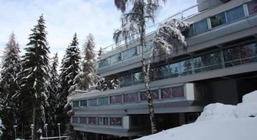 Marilleva 900 Apartment | Appartamento panoramico con vista sulle montagne e accesso diretto alle piste