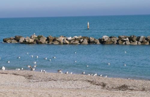 Porto Recanati Apartment | Appartamento Paradiso Azzurro