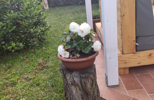 Drapia Apartment | Appartamento relax con giardino
